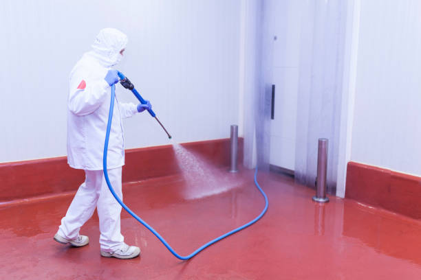 Best Building Exterior Washing  in Mountville, PA